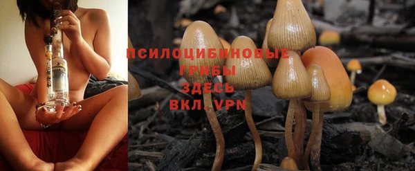 хмурый Кукмор