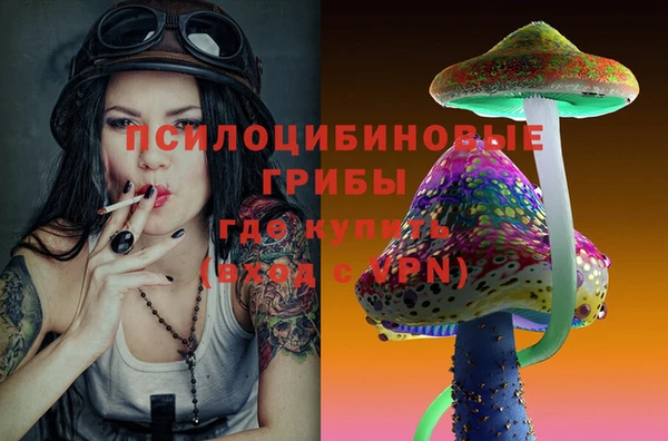 прущие крисы Кулебаки