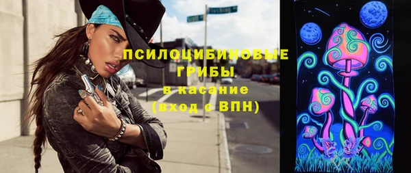 хмурый Кукмор